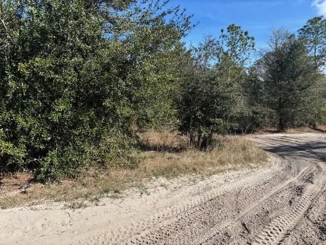 3 of 4 - 0 County Rd 54, Kathleen, FL