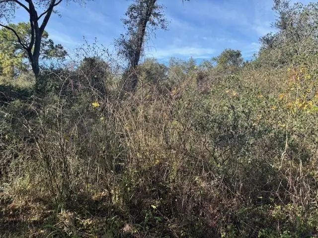 0 County Rd 54, Kathleen
