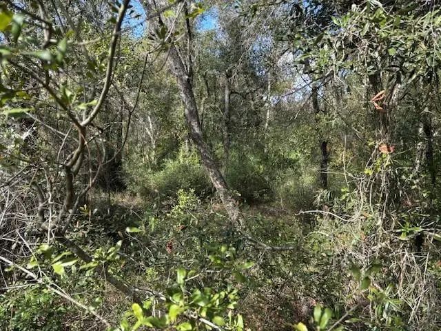 0 County Rd 54, Kathleen