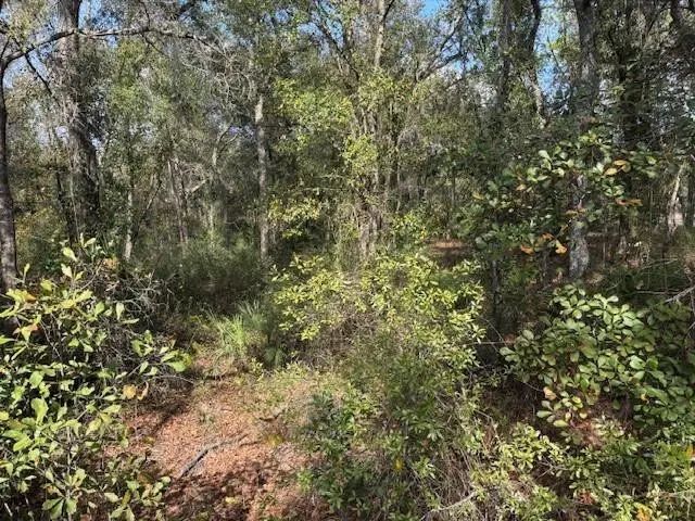 2 of 3 - 0 County Rd 54, Kathleen, FL
