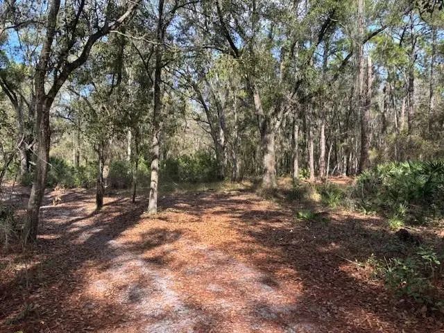 0 County Rd 54, Kathleen