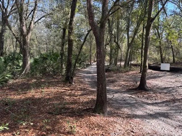 2 of 3 - 0 County Rd 54, Kathleen, FL