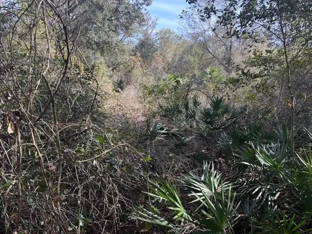 0 County Rd 54, Kathleen