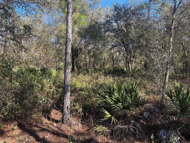 0 County Rd 54, Kathleen