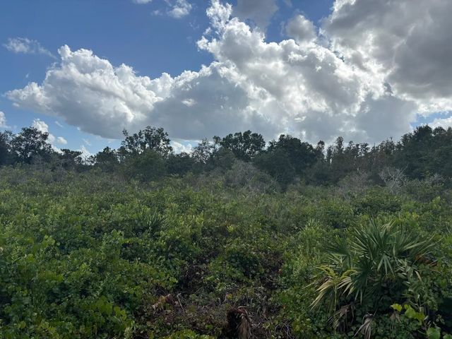 0 County Rd 54, Kathleen