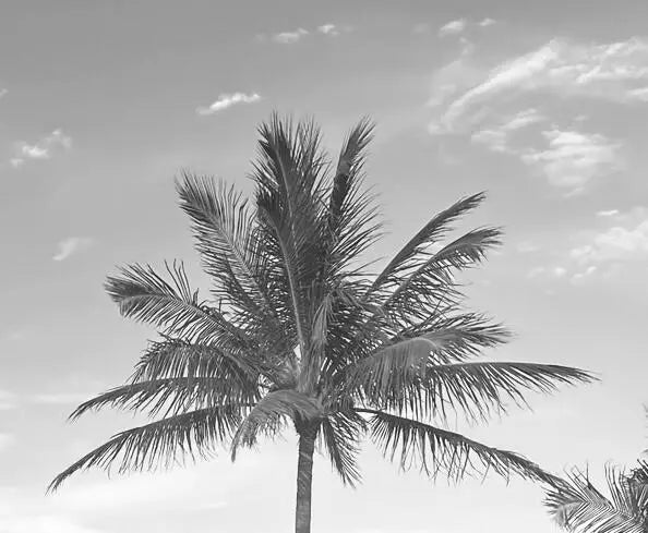 11465 Old Harbour Road, North Palm Beach