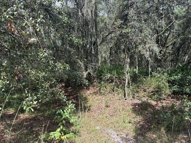 0 County Rd 54, Kathleen