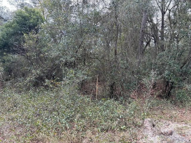 0 County Rd 54, Kathleen