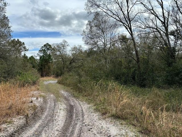 2 of 2 - 0 County Rd 54, Kathleen, FL