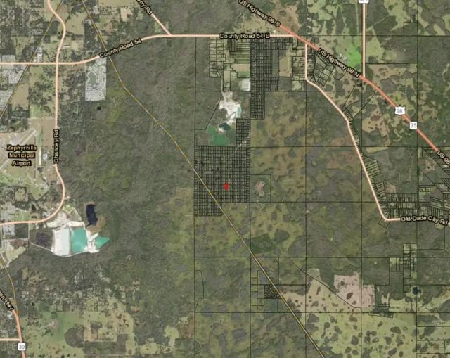 3 of 3 - 0 County Rd 54, Kathleen, FL