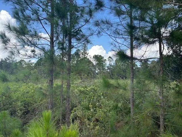 0 County Rd 54, Kathleen