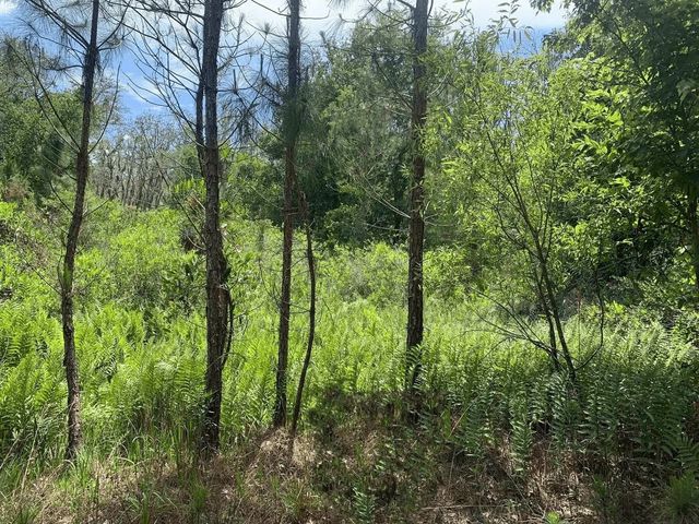 0 County Rd 54, Kathleen