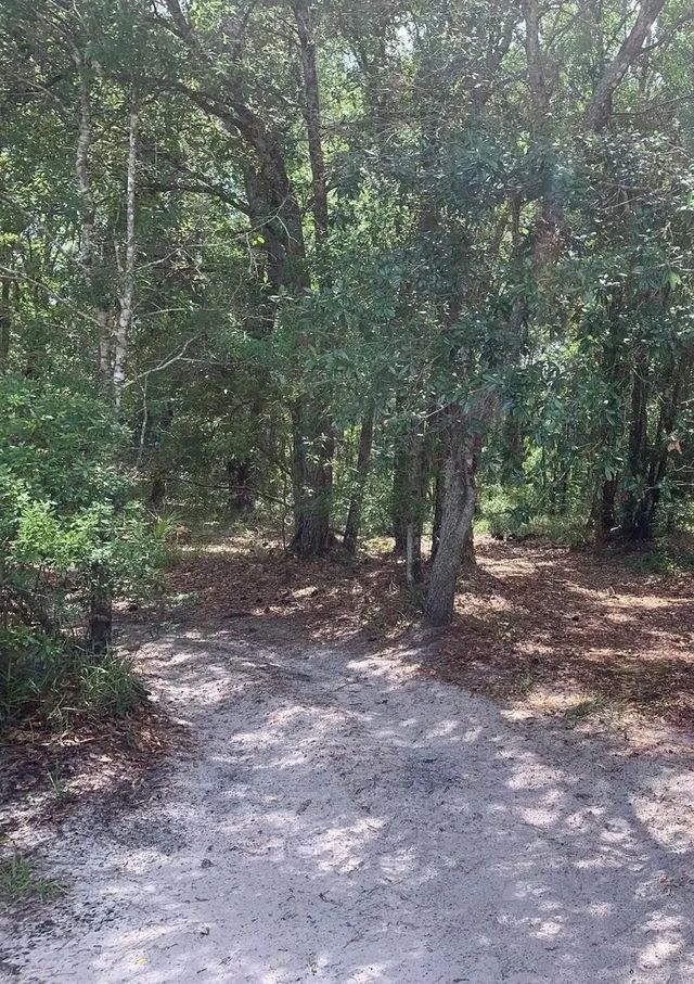 0 County Rd 54, Kathleen