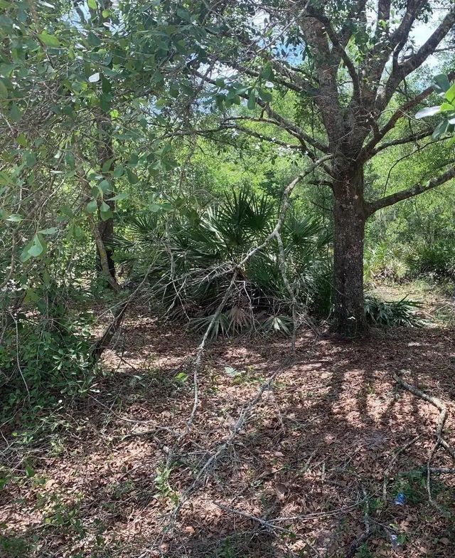 0 County Rd 54, Kathleen