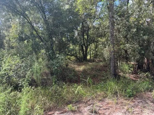2 of 3 - 0 County Rd 54, Kathleen, FL