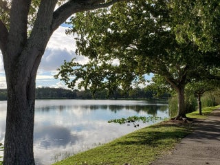 Photo of Listing #F10541376