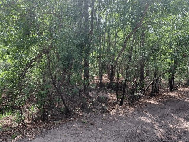 0 County Rd 54, Kathleen