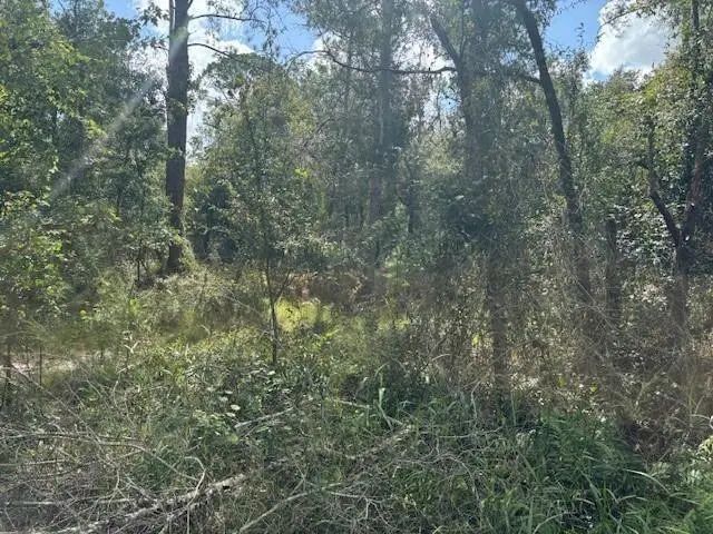 2 of 2 - 0 County Rd 54, Kathleen, FL