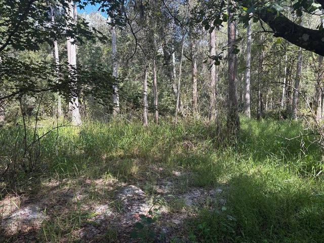 2 of 2 - 0 County Rd 54, Kathleen, FL