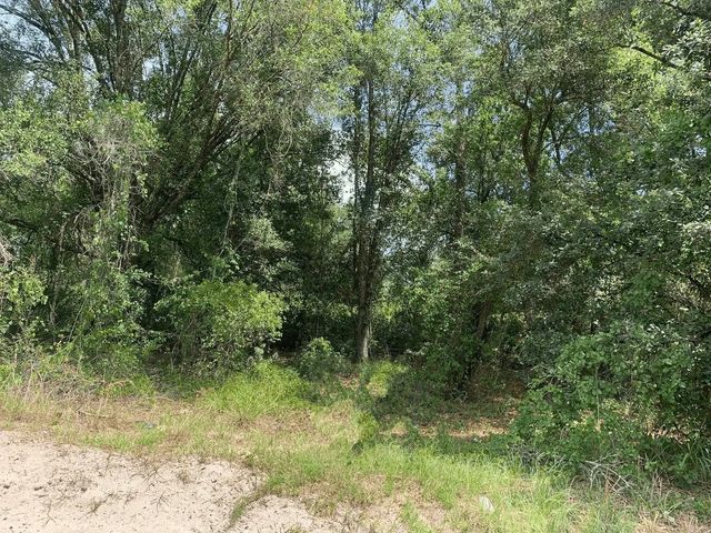 0 County Rd 54, Kathleen