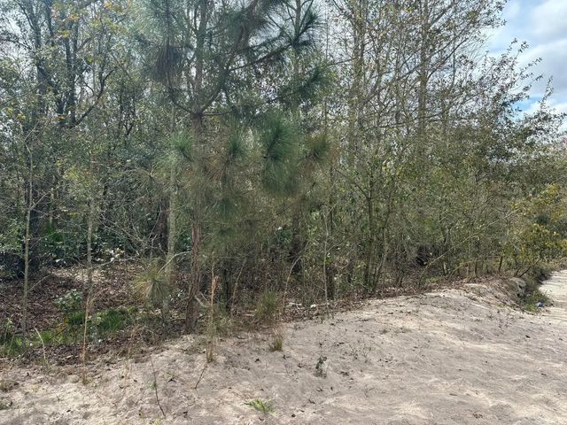 2 of 3 - 0 County Rd 54, Kathleen, FL