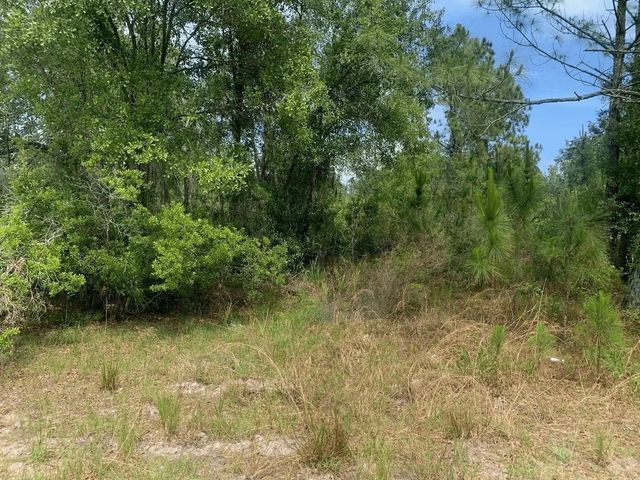 0 County Rd 54, Kathleen