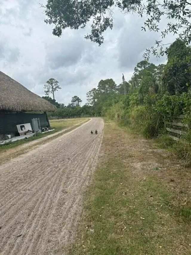 3 of 10 - 3525 D Rd Road, Loxahatchee Groves, FL