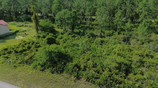 4 of 4 - 1115 Chiefland Street E, Lehigh Acres, FL