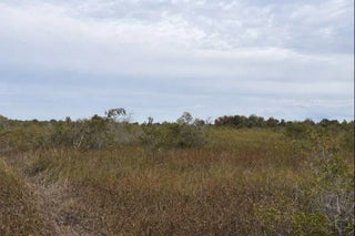 Photo of Listing #F10542838