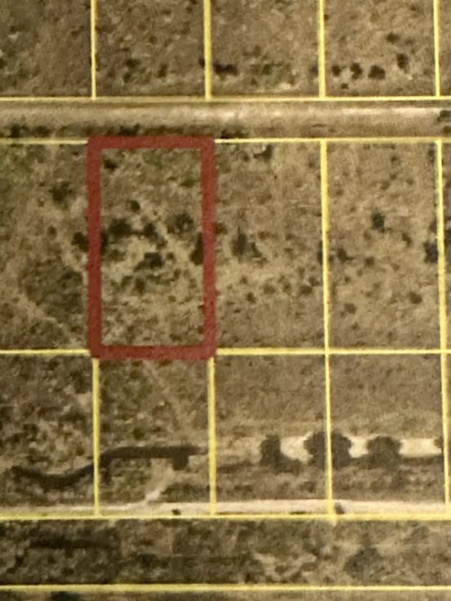 22076 Nw 242nd Street, Okeechobee