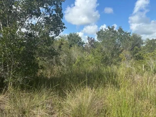 0 Nw 316th Street, Okeechobee