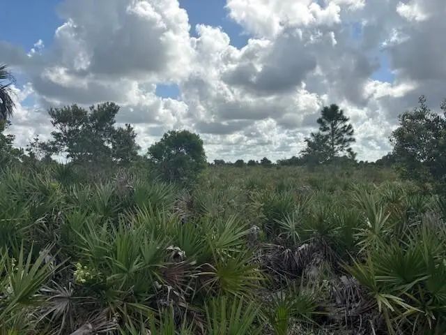 2 of 4 - 0 Nw 316th Street, Okeechobee, FL
