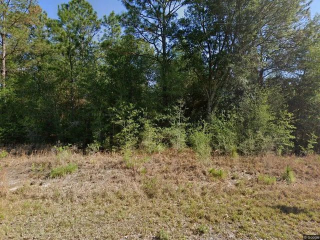 20313 Sw Audubon Avenue, Dunnellon