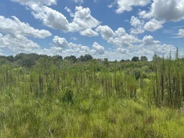 0 Nw 314th Street, Okeechobee
