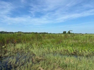 Photo of Listing #F10543248