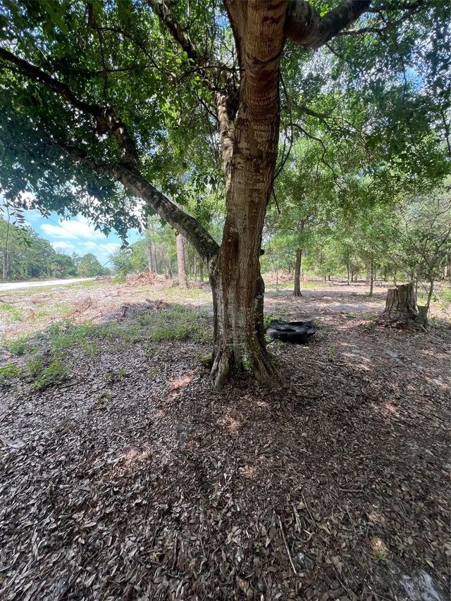 3 of 5 - 681 N Perimeter Road, Clewiston, FL