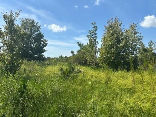 0 Nw 310th Street, Okeechobee