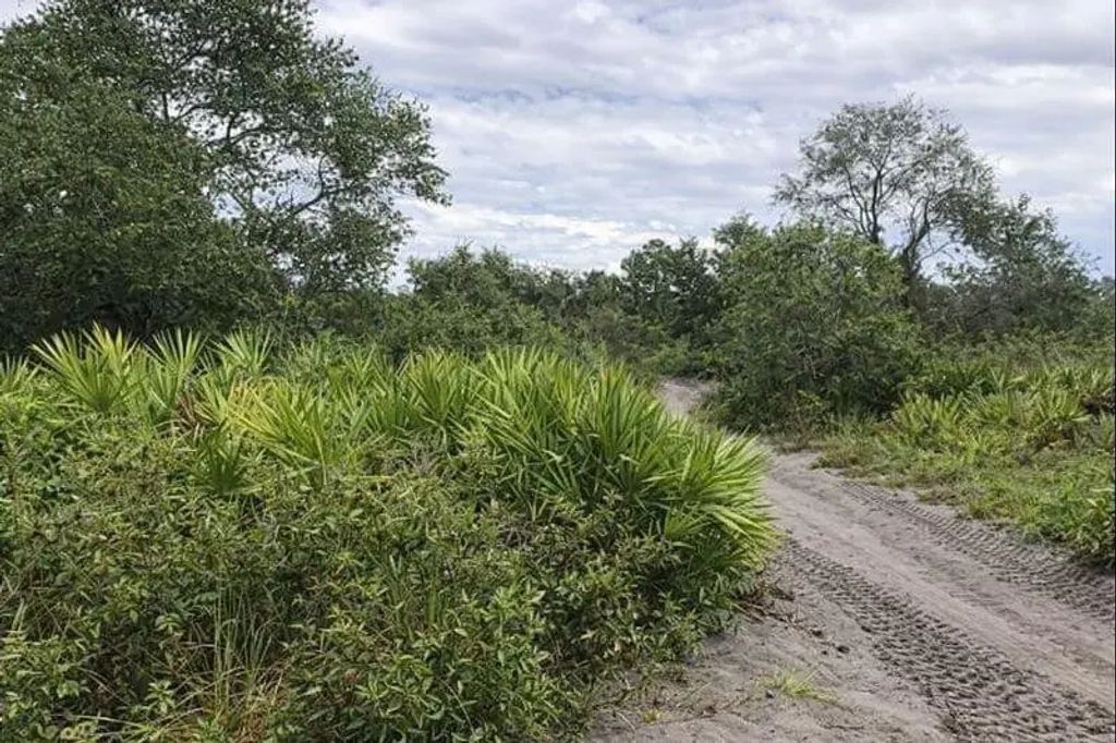0 Alturas Babson Park Cutoff Road, Lake Wales