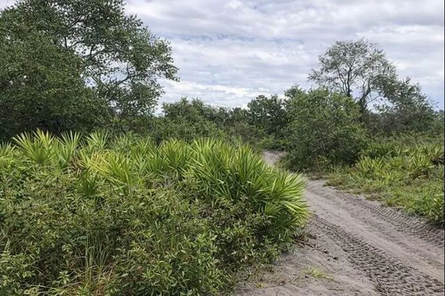 0 Alturas Babson Park Cutoff Road, Lake Wales