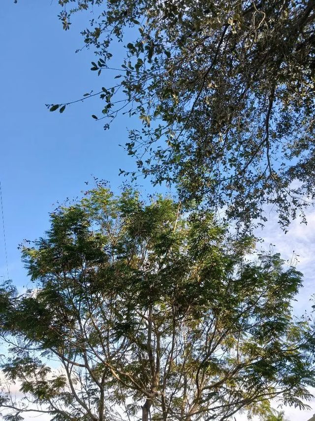3 of 4 - 0000 139 Court, , FL