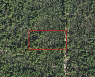 Photo of Listing #F10543853