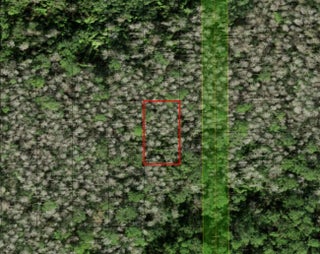 Photo of Listing #F10544069