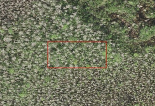 Photo of Listing #F10544092