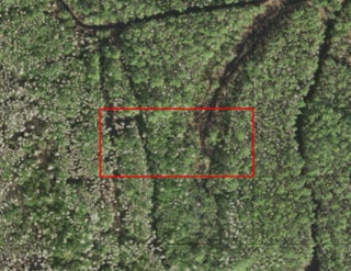 Photo of Listing #F10544121