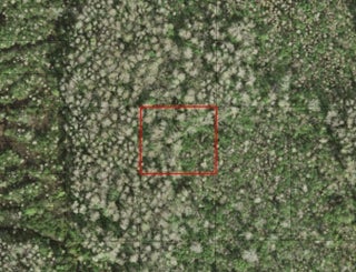 Photo of Listing #F10544125