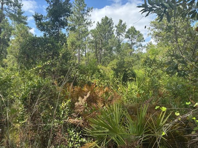 2 of 2 - 0 Hwy 630e, Frostproof, FL