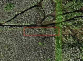 Photo of Listing #F10544134