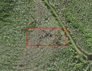 Photo of Listing #F10544275