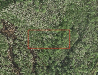 Photo of Listing #F10544286