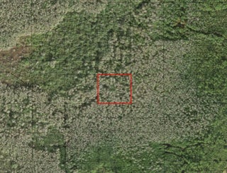 Photo of Listing #F10544269